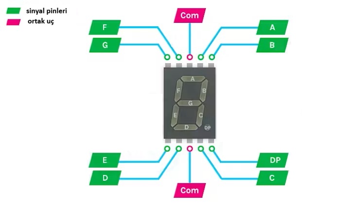  7 Segment Display bacak adları